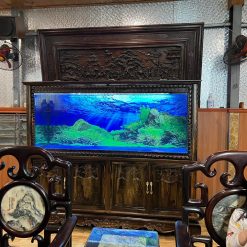 bể cá gỗ mun